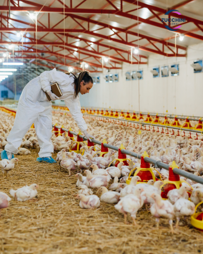 poultry farm