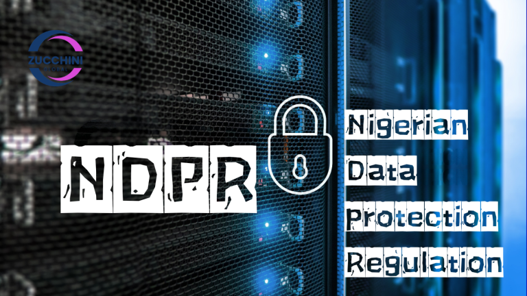 The Beginner’s Guide to NDPR: What Every Business Owner Must Know